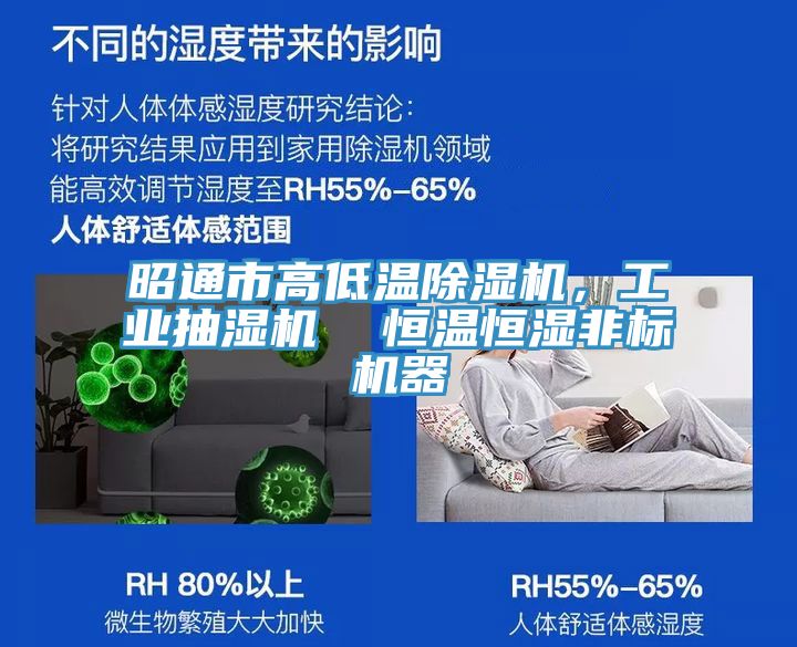 昭通市高低溫除濕機，工業(yè)抽濕機  恒溫恒濕非標機器