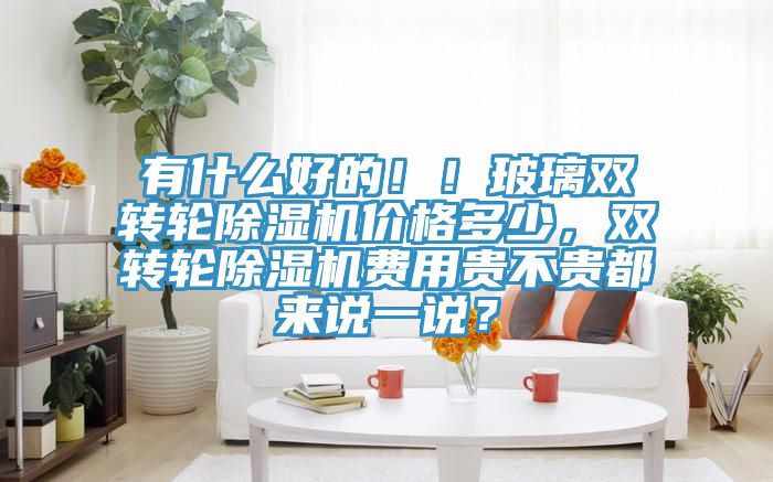 有什么好的??！玻璃雙轉(zhuǎn)輪除濕機價格多少，雙轉(zhuǎn)輪除濕機費用貴不貴都來說一說？