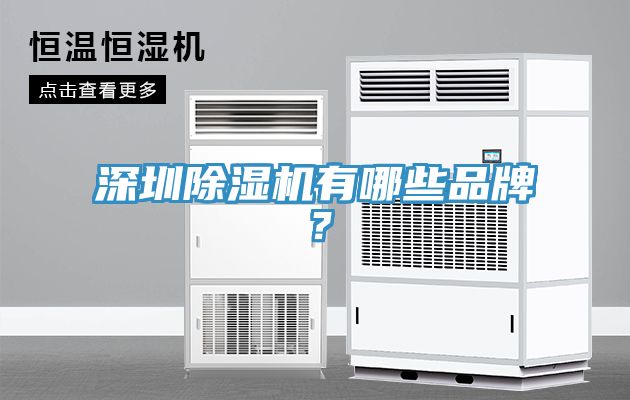深圳除濕機(jī)有哪些品牌？