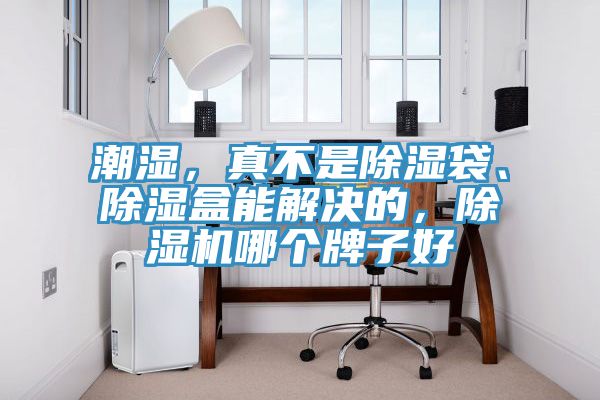潮濕，真不是除濕袋、除濕盒能解決的，除濕機哪個牌子好