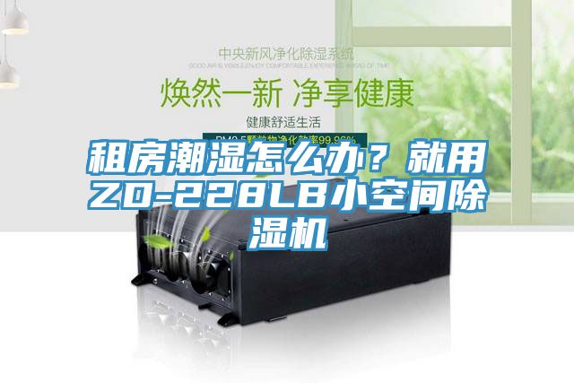 租房潮濕怎么辦？就用ZD-228LB小空間除濕機(jī)