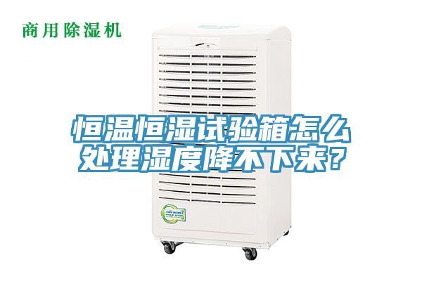 恒溫恒濕試驗(yàn)箱怎么處理濕度降不下來(lái)？