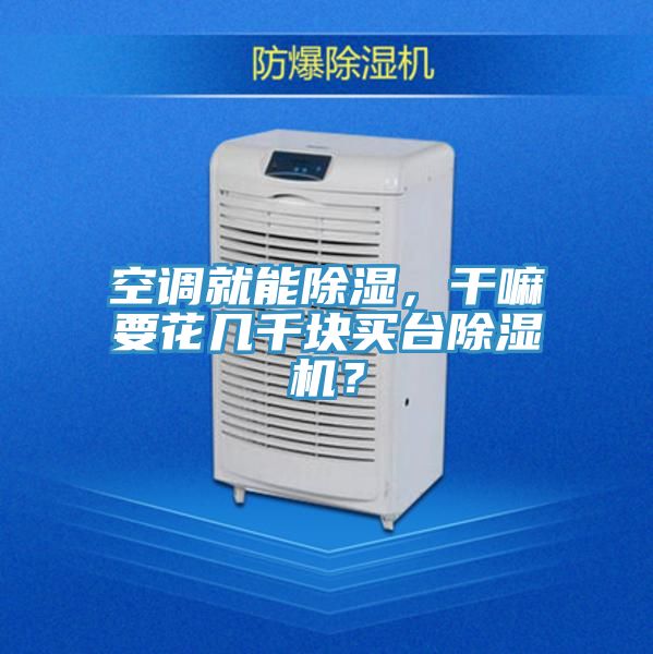 空調(diào)就能除濕，干嘛要花幾千塊買臺除濕機？