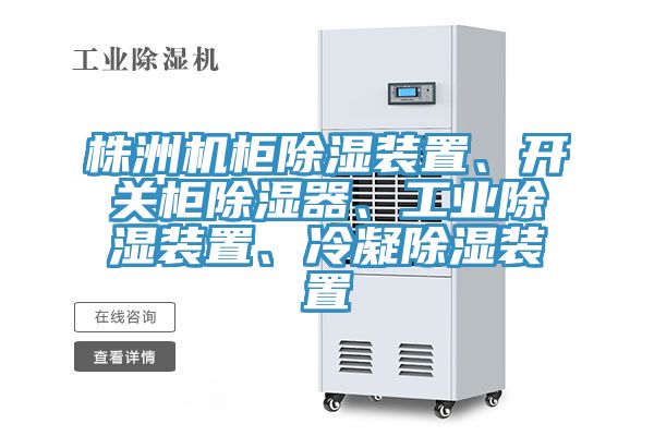 株洲機柜除濕裝置、開關(guān)柜除濕器、工業(yè)除濕裝置、冷凝除濕裝置