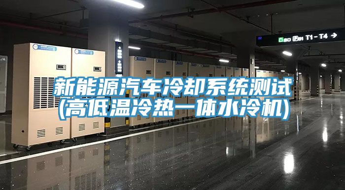 新能源汽車?yán)鋮s系統(tǒng)測試(高低溫冷熱一體水冷機)