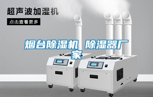 煙臺除濕機(jī) 除濕器廠家