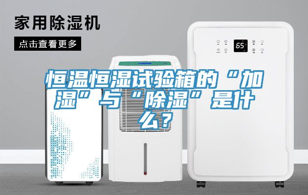 恒溫恒濕試驗(yàn)箱的“加濕”與“除濕”是什么？