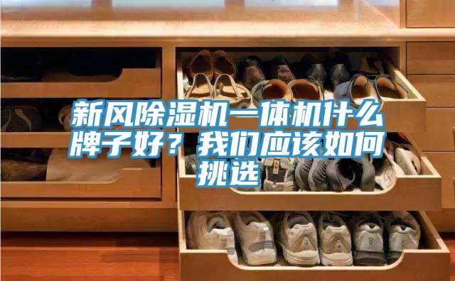 新風(fēng)除濕機(jī)一體機(jī)什么牌子好？我們應(yīng)該如何挑選