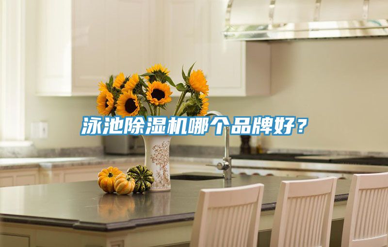 泳池除濕機哪個品牌好？