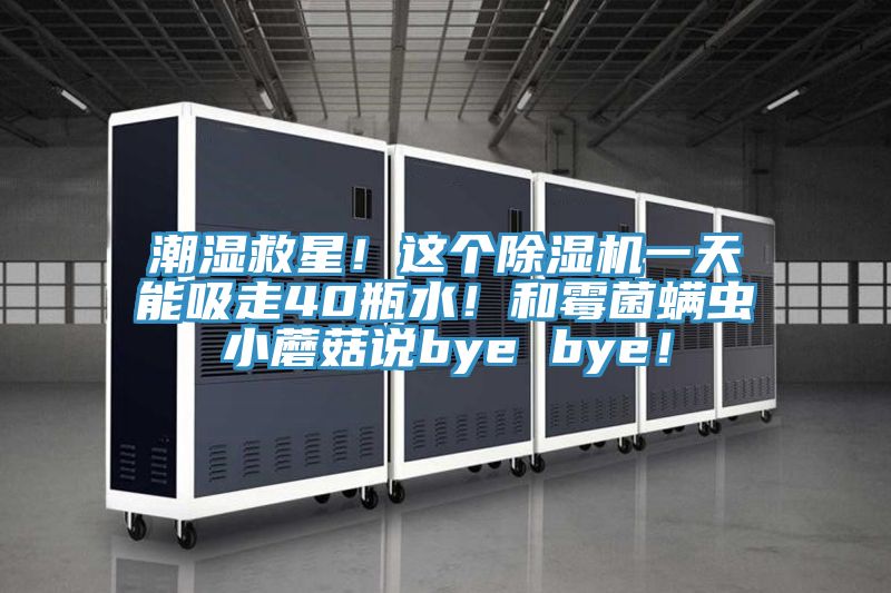 潮濕救星！這個除濕機一天能吸走40瓶水！和霉菌螨蟲小蘑菇說bye bye！