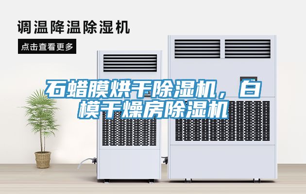 石蠟?zāi)ず娓沙凉駲C(jī)，白模干燥房除濕機(jī)