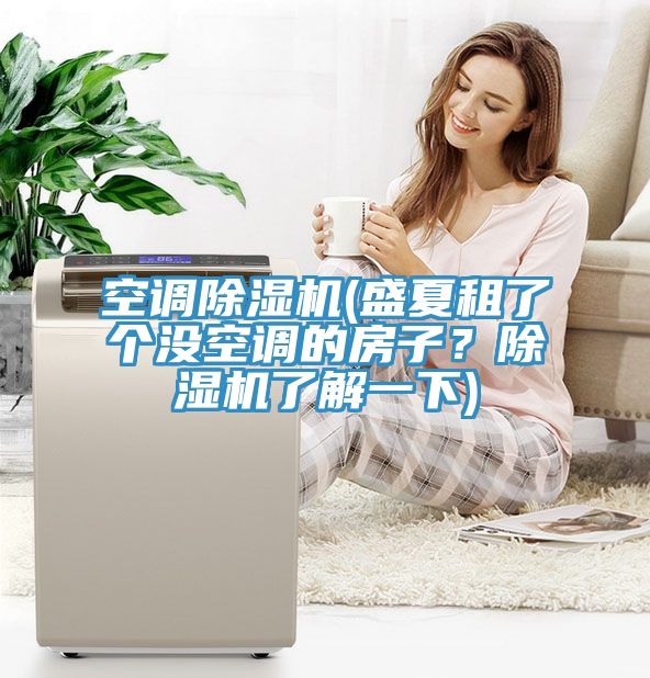 空調(diào)除濕機(盛夏租了個沒空調(diào)的房子？除濕機了解一下)