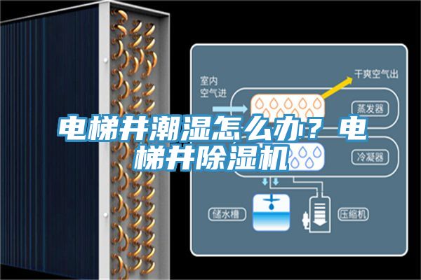 電梯井潮濕怎么辦？電梯井除濕機