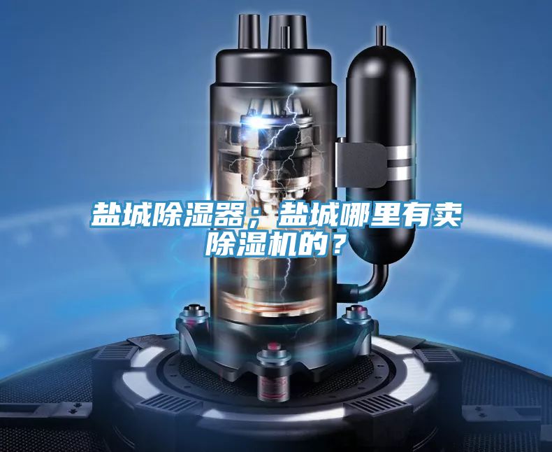 鹽城除濕器；鹽城哪里有賣除濕機的？