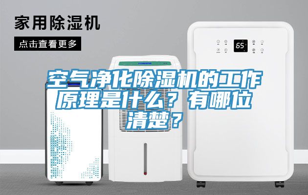 空氣凈化除濕機(jī)的工作原理是什么？有哪位清楚？