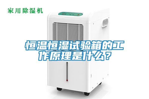 恒溫恒濕試驗(yàn)箱的工作原理是什么？