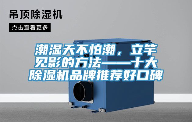 潮濕天不怕潮，立竿見影的方法——十大除濕機(jī)品牌推薦好口碑