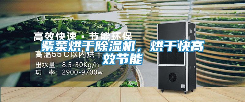 紫菜烘干除濕機，烘干快高效節(jié)能