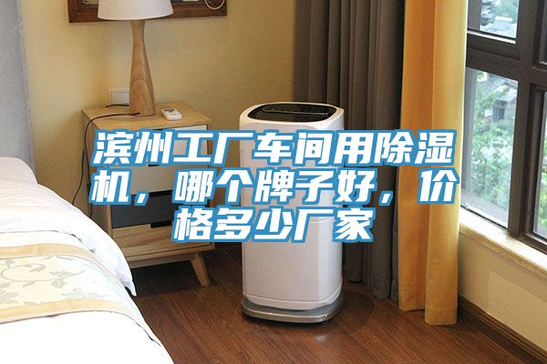 濱州工廠車(chē)間用除濕機(jī)，哪個(gè)牌子好，價(jià)格多少?gòu)S家