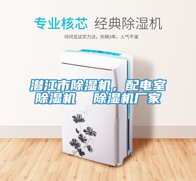 潛江市除濕機(jī)，配電室除濕機(jī)  除濕機(jī)廠家
