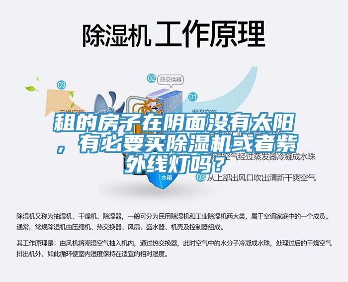 租的房子在陰面沒(méi)有太陽(yáng)，有必要買(mǎi)除濕機(jī)或者紫外線(xiàn)燈嗎？