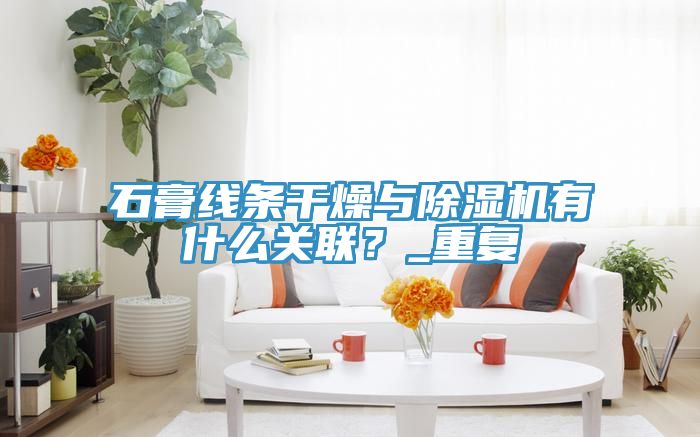 石膏線條干燥與除濕機(jī)有什么關(guān)聯(lián)？_重復(fù)