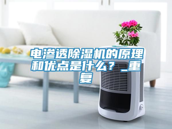 電滲透除濕機的原理和優(yōu)點是什么？_重復