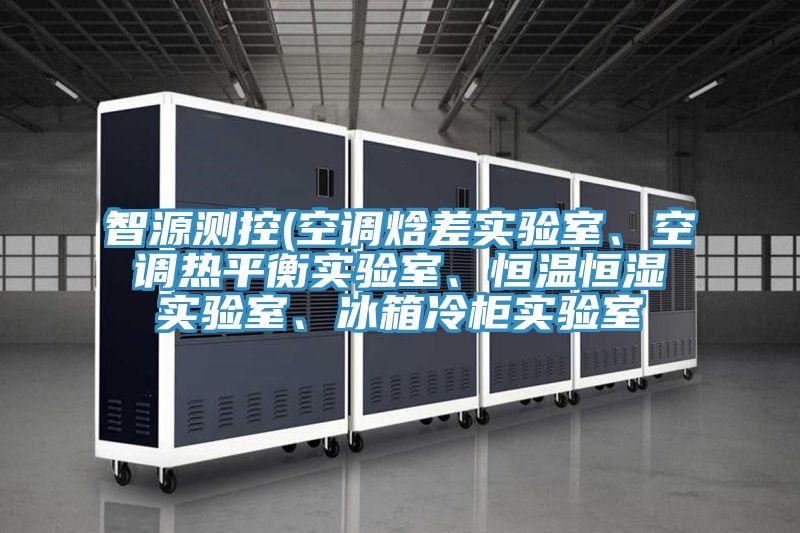 智源測控(空調(diào)焓差實驗室、空調(diào)熱平衡實驗室、恒溫恒濕實驗室、冰箱冷柜實驗室