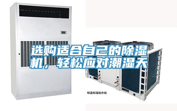 選購適合自己的除濕機(jī)，輕松應(yīng)對潮濕天