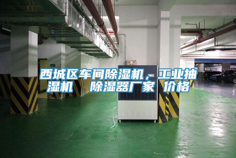 西城區(qū)車(chē)間除濕機(jī)，工業(yè)抽濕機(jī)  除濕器廠家 價(jià)格