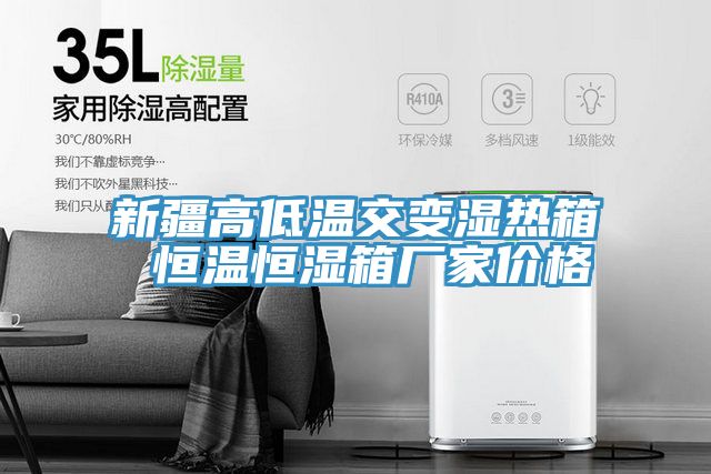 新疆高低溫交變濕熱箱 恒溫恒濕箱廠(chǎng)家價(jià)格