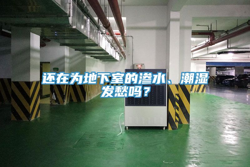 還在為地下室的滲水、潮濕發(fā)愁嗎？