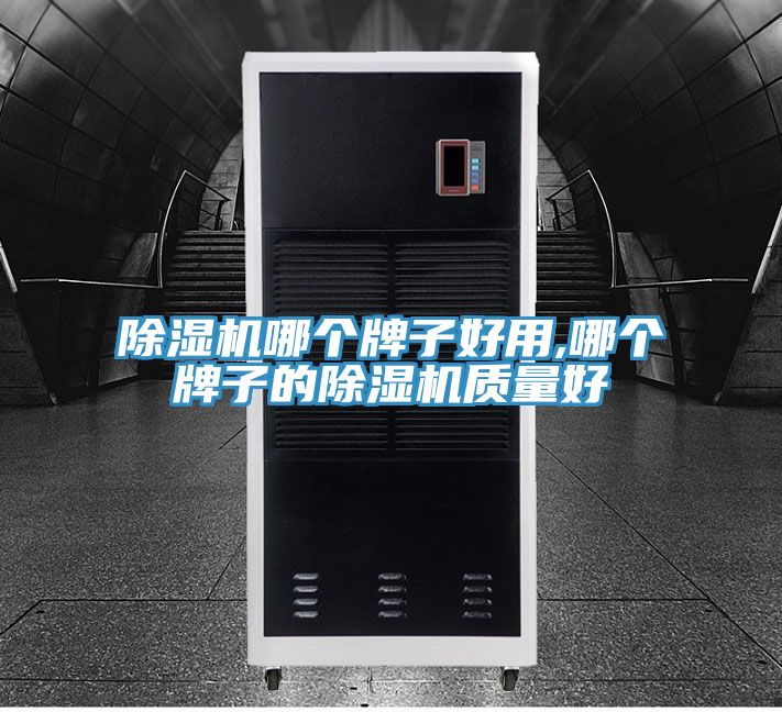除濕機哪個牌子好用,哪個牌子的除濕機質(zhì)量好