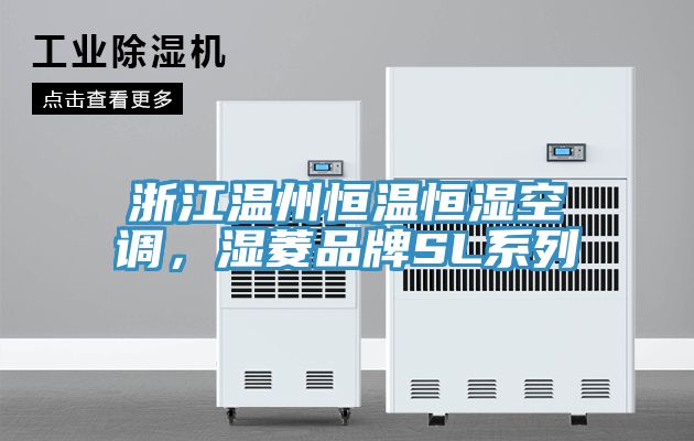浙江溫州恒溫恒濕空調(diào)，濕菱品牌SL系列