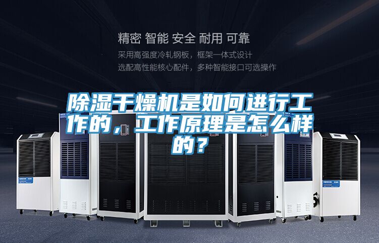除濕干燥機是如何進行工作的，工作原理是怎么樣的？
