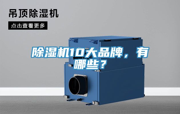除濕機10大品牌，有哪些？