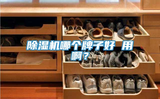 除濕機哪個牌子好 用?。?></div>
								<div   id=