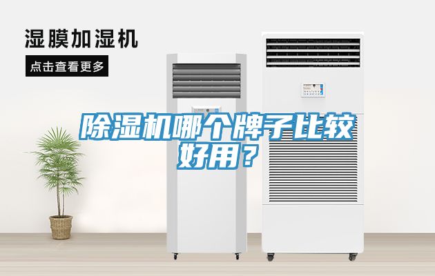 除濕機(jī)哪個牌子比較好用？