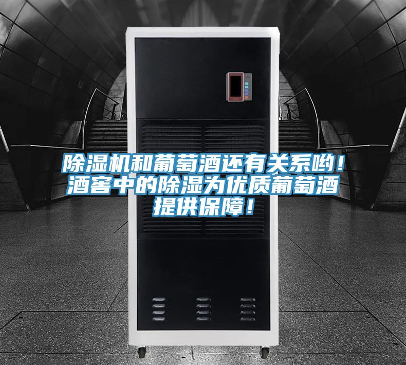 除濕機和葡萄酒還有關(guān)系喲！酒窖中的除濕為優(yōu)質(zhì)葡萄酒提供保障！