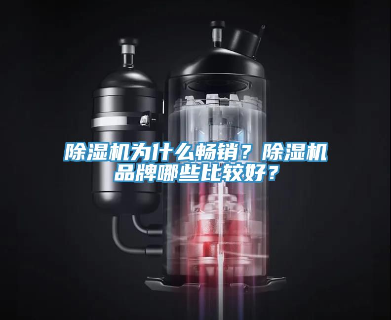 除濕機為什么暢銷？除濕機品牌哪些比較好？