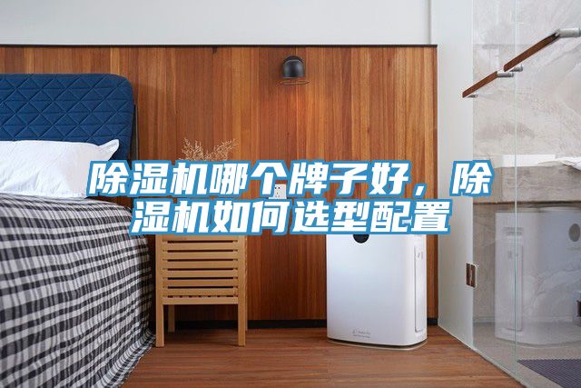 除濕機(jī)哪個牌子好，除濕機(jī)如何選型配置