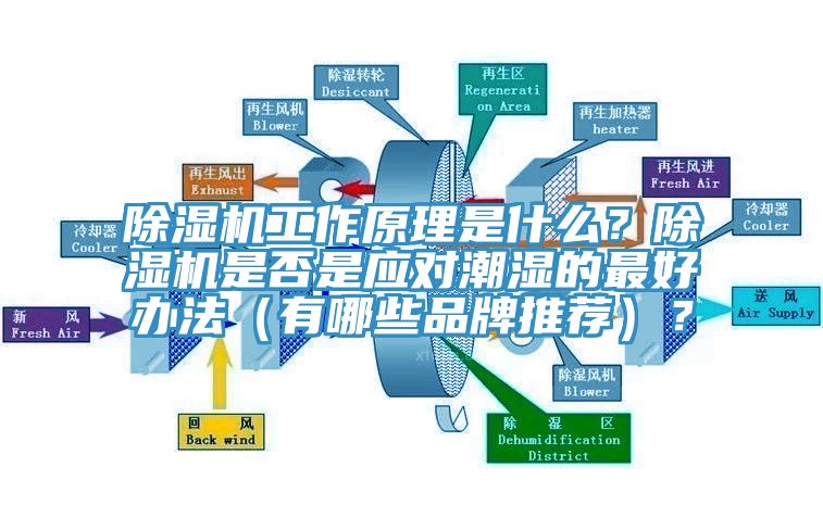除濕機(jī)工作原理是什么？除濕機(jī)是否是應(yīng)對(duì)潮濕的最好辦法（有哪些品牌推薦）？