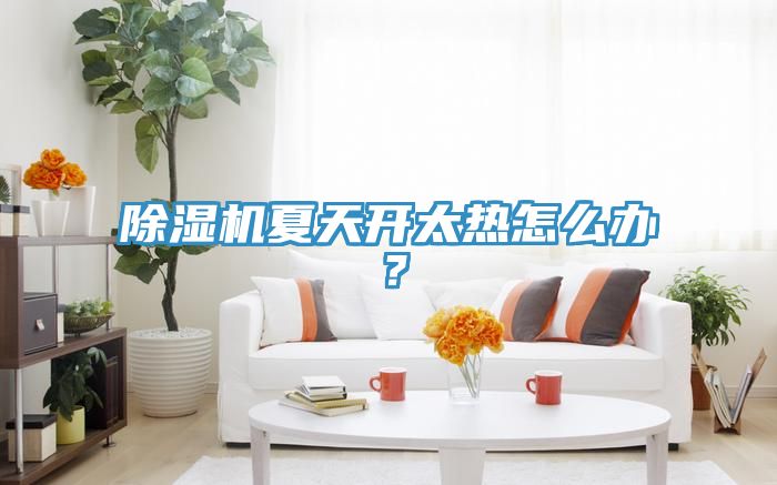 除濕機(jī)夏天開太熱怎么辦？