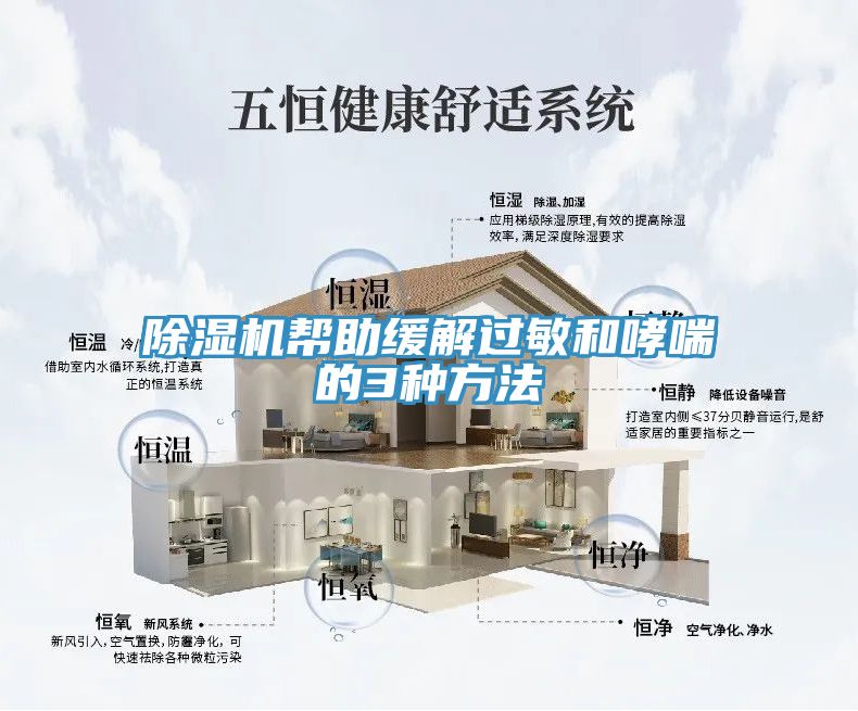 除濕機(jī)幫助緩解過(guò)敏和哮喘的3種方法