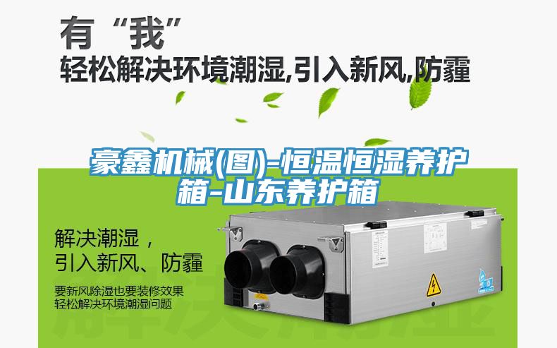 豪鑫機(jī)械(圖)-恒溫恒濕養(yǎng)護(hù)箱-山東養(yǎng)護(hù)箱