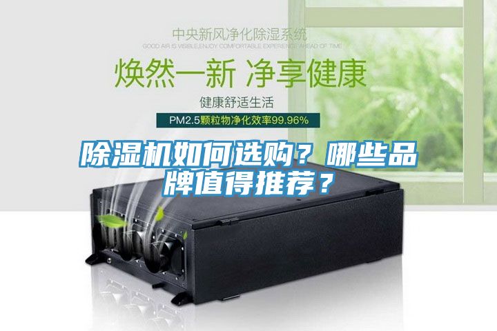 除濕機如何選購？哪些品牌值得推薦？