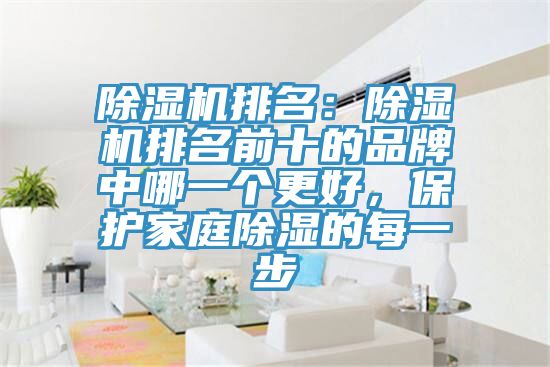 除濕機(jī)排名：除濕機(jī)排名前十的品牌中哪一個更好，保護(hù)家庭除濕的每一步