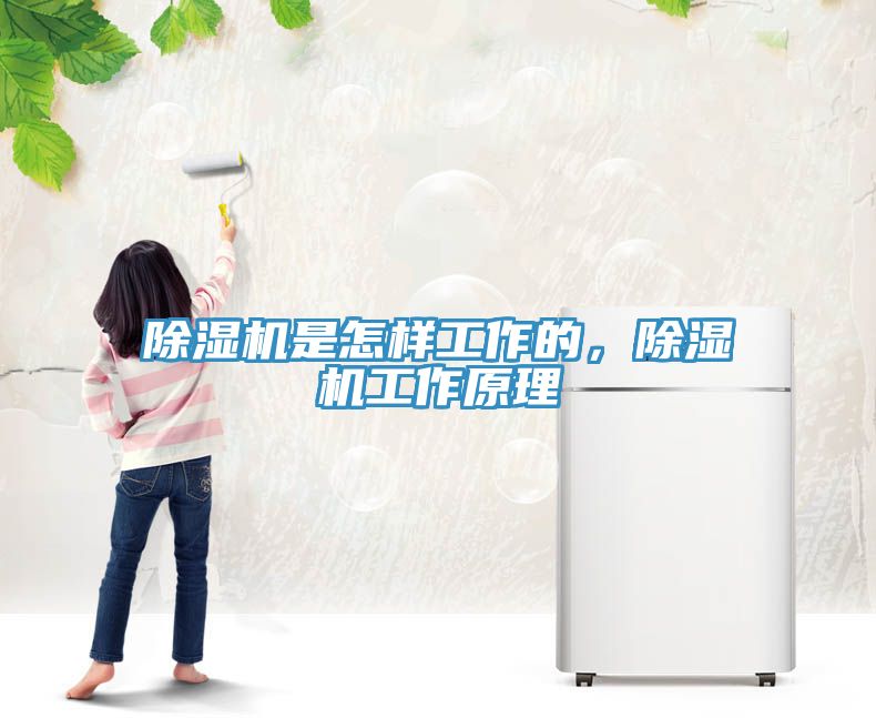 除濕機是怎樣工作的，除濕機工作原理