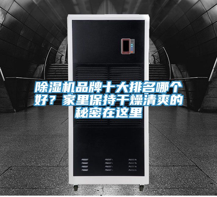 除濕機(jī)品牌十大排名哪個(gè)好？家里保持干燥清爽的秘密在這里