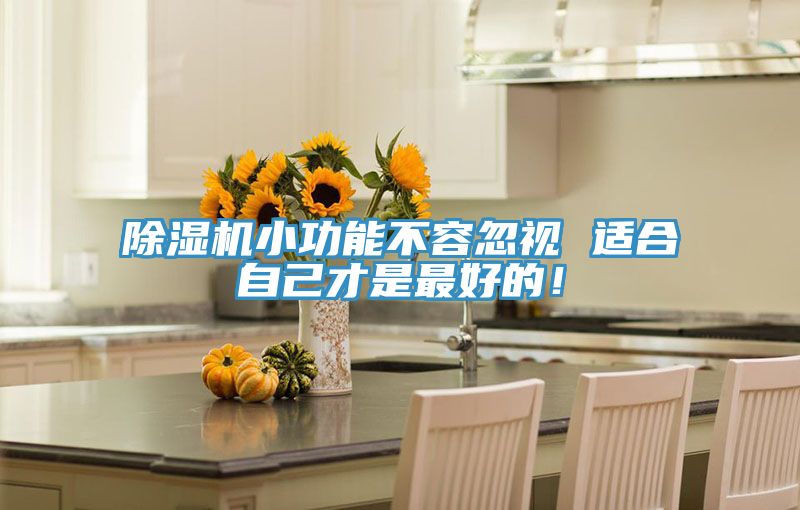 除濕機(jī)小功能不容忽視 適合自己才是最好的！